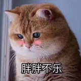 草莓甜不甜
