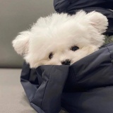 陆雨萱你