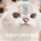 想做地球冒险家
