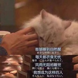 草莓味汽水
