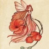 Fairy-C