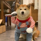 麻西打糕