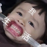 ZHJ