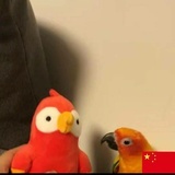 李晨