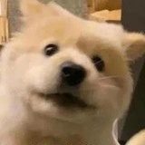 管理圆