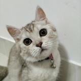 ？