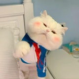 杨帆