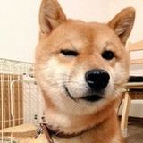 five本废