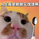 mio咩咩咩
