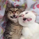 一个影子