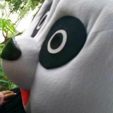 豆友152733889
