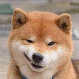 一名后期狗