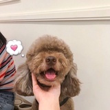 吃不饱