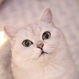 世界很伟大