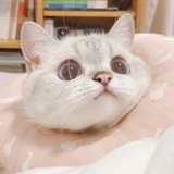 吃相无语了