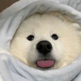 晚上好