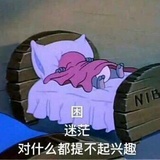 吃瓜酱