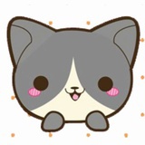 赵梦琪