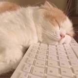 魔法猫咪悠米