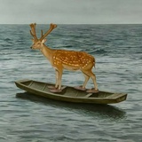 海里的水