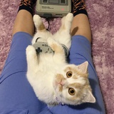 VivianChan