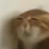 哎吃点烧烤吧