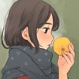老圆
