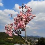 漫漫
