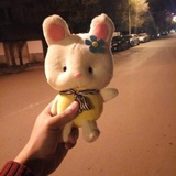 伊达摩尔