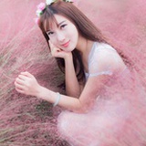 绿叶浮动