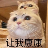 就很爱吃鱼摆摆