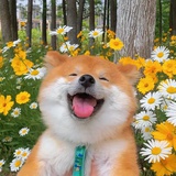 🌸