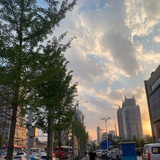 太难治愈