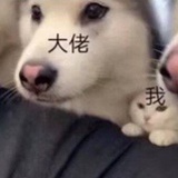 与尔