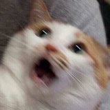 您看着给