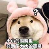 簡牘