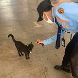 闲敲棋子落灯花