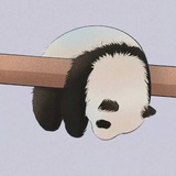 数独，