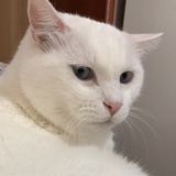 嚯嚯嚯
