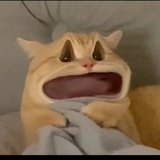 土豆好忙
