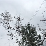 许我向你看