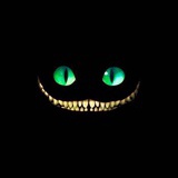 柴郡猫