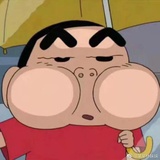 西红柿