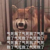 兰州拉面