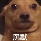 帕梅拉了没