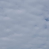 怀抱鲤