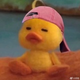 昨天涯