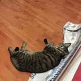 三年二班穆哥哥