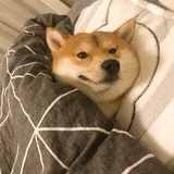 九九