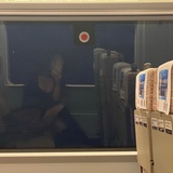 种种